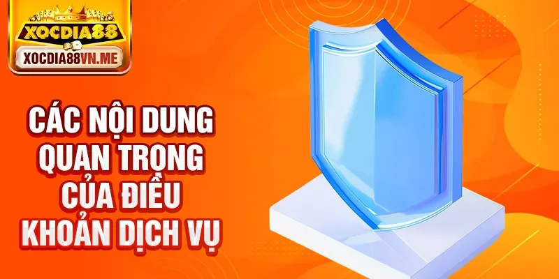 Các nội dung quan trọng của điều khoản dịch vụ