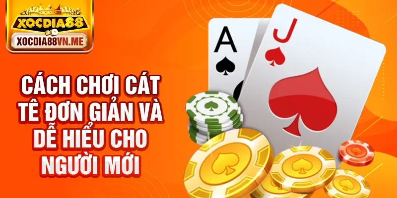 Cách chơi cát tê đơn giản và dễ hiểu cho người mới