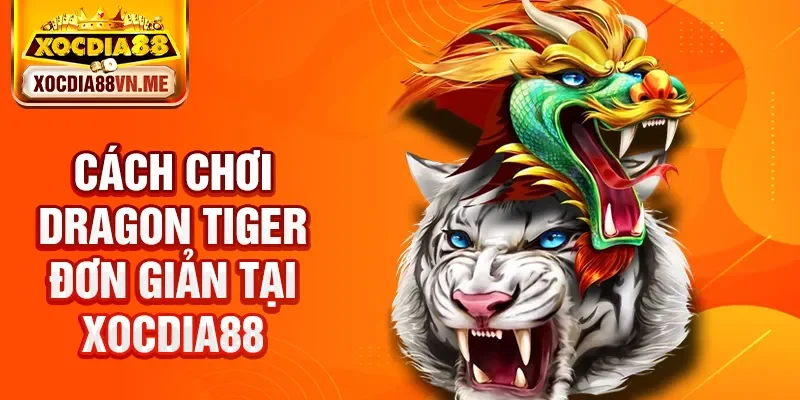 Cách chơi Dragon Tiger đơn giản tại Xocdia88