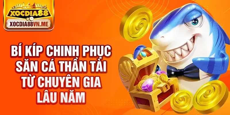 Bí kíp chinh phục săn cá Thần Tài từ chuyên gia lâu năm