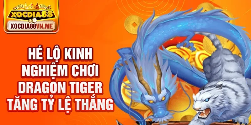 Hé lộ kinh nghiệm chơi Dragon Tiger tăng tỷ lệ thắng
