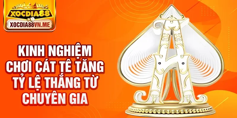 Kinh nghiệm chơi cát tê tăng tỷ lệ thắng từ chuyên gia