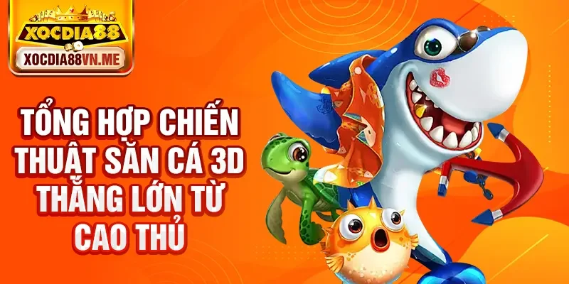 Tổng hợp chiến thuật săn cá 3D thắng lớn từ cao thủ