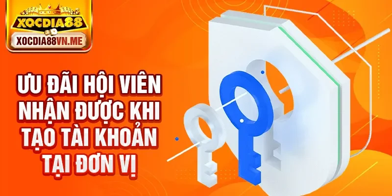 Ưu đãi hội viên nhận được khi tạo tài khoản tại đơn vị